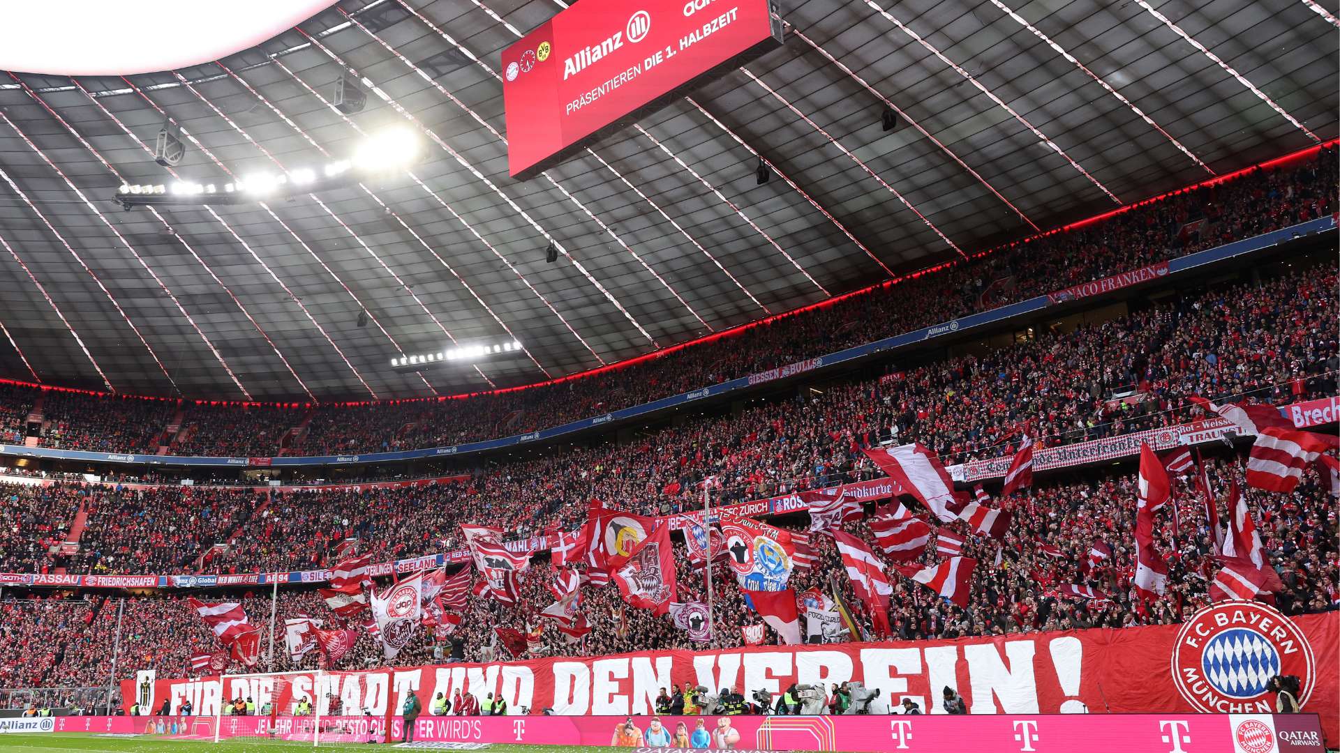 本菲卡近年 本菲卡近年